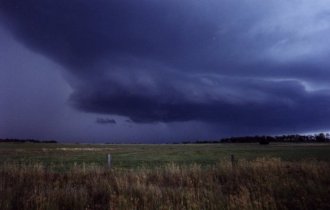 250199_08