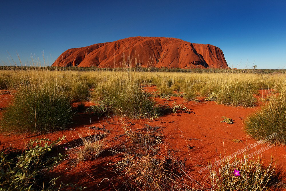 Outback Australia