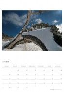 2009 Weather Calendar