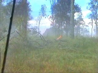 hailfog