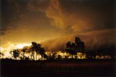 Storm Photos - Page 2