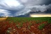 Storm Photos - Page 2