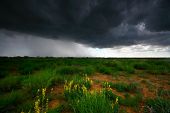 Storm Photos - Page 2