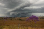 Storm Photos - Page 2