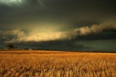 Storm Photos Page 3