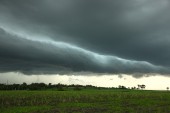 Storm Photos Page 3