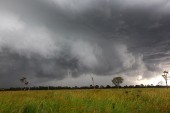 Storm Photos Page 4