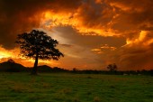 Sunrise & Sunset Gallery - Page 1