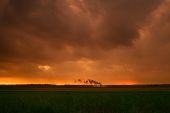 Sunrise & Sunset Gallery - Page 1