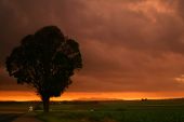 Sunrise & Sunset Gallery - Page 1
